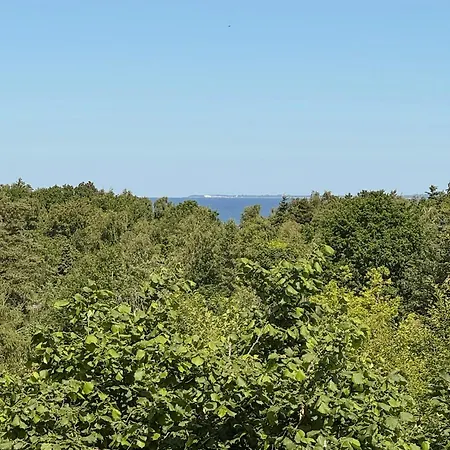 Terrace With A Sea Peek 500 Meters From The Ordrup